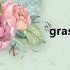 grass的復數(shù)（什么意思）
