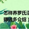 怎樣養(yǎng)羅氏沼蝦賺錢(qián)多（關(guān)于怎樣養(yǎng)羅氏沼蝦賺錢(qián)多介紹）