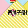 西瓜子是什么瓜的子（西瓜子的介紹）