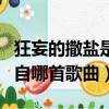 狂妄的撒鹽是哪首歌里的歌詞（狂妄的撒鹽出自哪首歌曲）