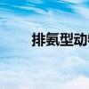 排氨型動(dòng)物（關(guān)于排氨型動(dòng)物簡(jiǎn)介）