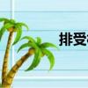 排受村（關(guān)于排受村簡(jiǎn)介）
