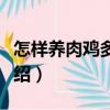 怎樣養(yǎng)肉雞多賺錢(qián)（關(guān)于怎樣養(yǎng)肉雞多賺錢(qián)介紹）