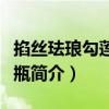 掐絲琺瑯勾蓮荸薺瓶（關(guān)于掐絲琺瑯勾蓮荸薺瓶簡(jiǎn)介）