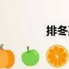 排冬菜（關(guān)于排冬菜簡介）