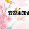 安家里知否小姐是誰（是個什么角色）