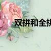雙拼和全拼的區(qū)別（兩者有什么不同）
