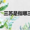 三蘇是指哪三個(gè)人（三蘇分別指的是誰(shuí)呢）