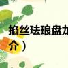 掐絲琺瑯盤龍香亭（關于掐絲琺瑯盤龍香亭簡介）