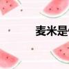 麥米是什么米（麥米簡單介紹）