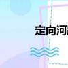 定向河路（關(guān)于定向河路介紹）