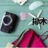 排木山（關(guān)于排木山簡介）