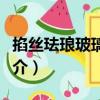 掐絲琺瑯玻璃方燈（關于掐絲琺瑯玻璃方燈簡介）