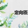 定向匝道（關于定向匝道介紹）