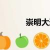 崇明大道（關(guān)于崇明大道簡介）
