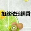 掐絲琺瑯銅香爐（關(guān)于掐絲琺瑯銅香爐簡(jiǎn)介）