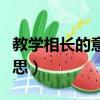 教學相長的意思是什么（詞語教學相長什么意思）