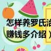 怎樣養(yǎng)羅氏治蝦賺錢多（關(guān)于怎樣養(yǎng)羅氏治蝦賺錢多介紹）
