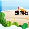 定向石墨（關(guān)于定向石墨介紹）