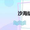 沙海結(jié)局（沙海結(jié)局是什么）