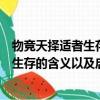 物競(jìng)天擇適者生存是什么意思是形容什么的（物競(jìng)天擇適者生存的含義以及啟發(fā)）