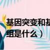 基因突變和基因重組解釋（基因突變和基因重組是什么）