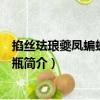 掐絲琺瑯夔鳳蝙蝠雙耳方瓶（關(guān)于掐絲琺瑯夔鳳蝙蝠雙耳方瓶簡介）