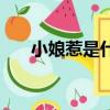 小娘惹是什么意思?。ㄐ∧锶堑囊馑迹? title=