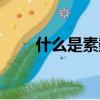 什么是素?cái)?shù)算法（素?cái)?shù)算法的解釋）