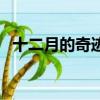 十二月的奇跡歌詞（十二月的奇跡歌簡介）