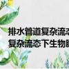 排水管道復(fù)雜流態(tài)下生物膜結(jié)構(gòu)及反應(yīng)特性（關(guān)于排水管道復(fù)雜流態(tài)下生物膜結(jié)構(gòu)及反應(yīng)特性簡介）