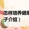 怎樣培養(yǎng)健康的孩子（關于怎樣培養(yǎng)健康的孩子介紹）