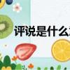 評說是什么意思（評說具體是什么意思）