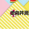 定向井測(cè)量（關(guān)于定向井測(cè)量介紹）