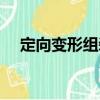 定向變形組裝（關(guān)于定向變形組裝介紹）
