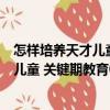 怎樣培養(yǎng)天才兒童 關鍵期教育0-3周歲（關于怎樣培養(yǎng)天才兒童 關鍵期教育0-3周歲介紹）
