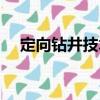 定向鉆井技術(shù)（關(guān)于定向鉆井技術(shù)介紹）