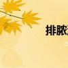 排膿湯（關于排膿湯簡介）