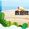 數(shù)據(jù)微擾（關(guān)于數(shù)據(jù)微擾簡介）