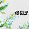 張良是怎么死的（張良的死因）