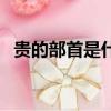 貴的部首是什么偏旁（貴字的偏旁是什么）