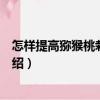 怎樣提高獼猴桃栽培效益（關(guān)于怎樣提高獼猴桃栽培效益介紹）