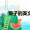 栗子的英文怎么讀（栗子的英文讀法）