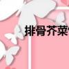 排骨芥菜飯（關于排骨芥菜飯簡介）