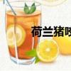 荷蘭豬咬人嗎（荷蘭豬咬不咬人）