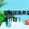 怎樣提高養(yǎng)蛋雞效益（關(guān)于怎樣提高養(yǎng)蛋雞效益介紹）