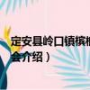 定安縣嶺口鎮(zhèn)檳榔購(gòu)銷協(xié)會(huì)（關(guān)于定安縣嶺口鎮(zhèn)檳榔購(gòu)銷協(xié)會(huì)介紹）