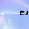 崔世泰（關(guān)于崔世泰簡介）