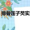 排骨蓮子芡實湯（關于排骨蓮子芡實湯簡介）
