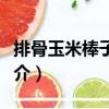 排骨玉米棒子骨湯（關(guān)于排骨玉米棒子骨湯簡介）